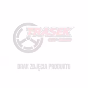 Symbol zastępczy